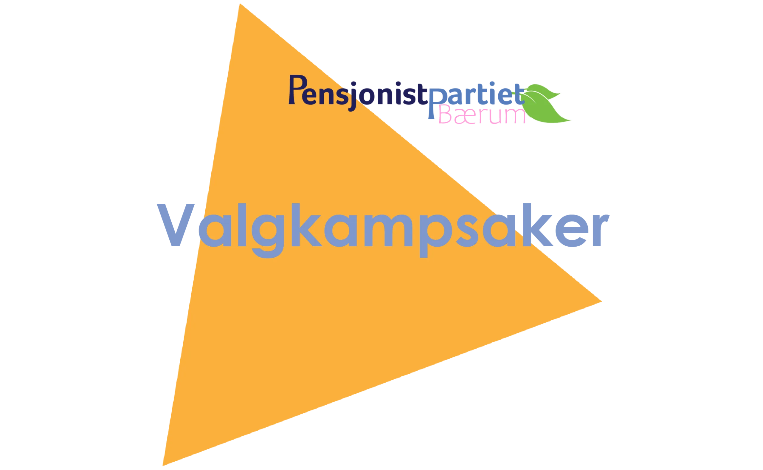 Valgkampsaker